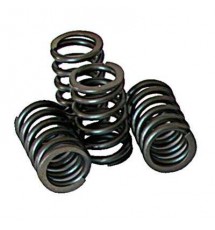 Piper Cams Peugeot 106 GTI Race Double Valve Springs