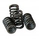 Piper Cams Citroen Saxo VTS Race Double Valve Springs