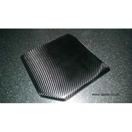 Citroen Saxo Carbon Fibre ECU Cover