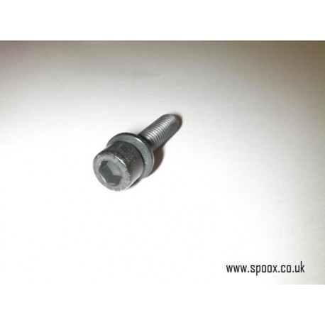 Genuine O/E Peugeot 106 GTI Cam Ladder Bolt