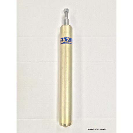 JSCC Citroen Saxo Gaz Front Damper Insert