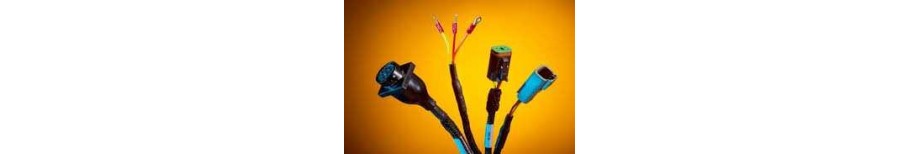 Aftermarket Engine Management Systems