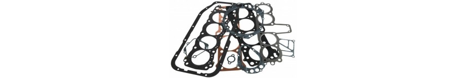 Engine Gaskets & Seals
