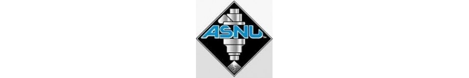 ASNU Injector Services
