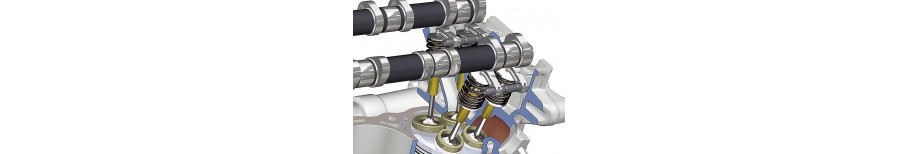Cylinder Head Valvetrain