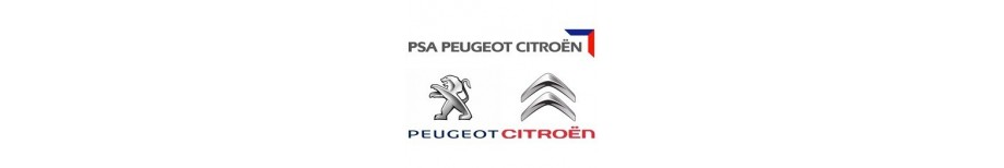 Peugeot / Citroen Silicone Hoses