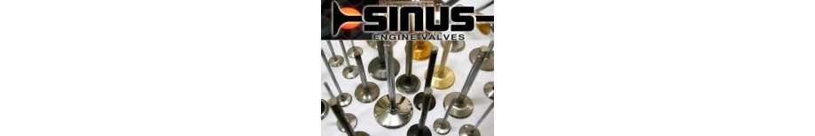 Sinus Engine Valves